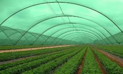 Shade Nets