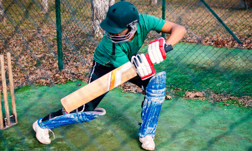 Cricket Practice Nets